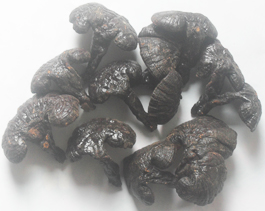 Cách sử dụng nấm lim xanh hiệu quả